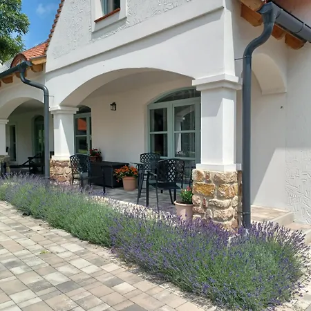 Oszter Udvarhaz * Kekkut